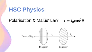 Polarisation of Light & Malus' Law with Calculations! // HSC Physics