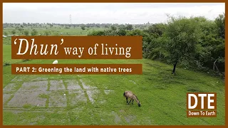 How this 500 acres was turned into a sanctuary for native trees of Rajasthan-The story of Dhun- 2