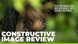 IMAGE REVIEW | Botswana Wilderness Safari