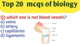 Top 20 mcqs of biology /biology Gk in English /biology MCQs for class 11th and 12th/ cet, biology