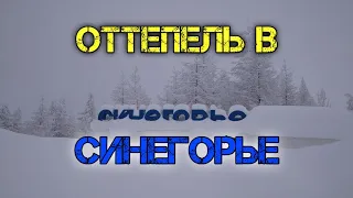 Оттепель в Синегорье!