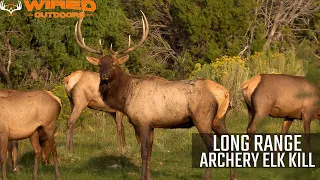 2020 - Long Range Archery Elk Kill
