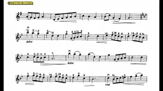 02   Minuet,  J s Bach   Suzuki Book 3   Violin Sheet Music Partitura para Violino
