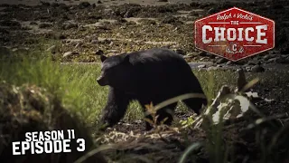 Spot and Stalk BC bears On A Boat - Part 2 - The Choice (Full Episode) // S11: Episode 3