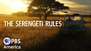 The Serengeti Rules FULL SPECIAL (2019) | NATURE | PBS America