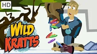 Wild Kratts 💥 Super Activation: Every Creature Power EVER! | Kids Videos