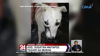 Aso, sugatan matapos tagain sa mukha | 24 Oras Weekend