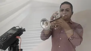 Gabriel's Oboe - Ennio Morricone - Trompeta Piccolo
