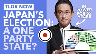 Is Japan a De-Facto One Party State? The Japanese Election Explained - TLDR News