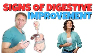 Signs You’re Improving Digestion
