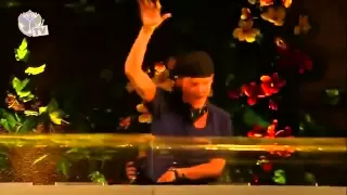 Tomorrowland 2013 - Avicii