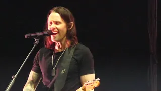 [4K] Alter Bridge - Blackbird (Afas Live Amsterdam)