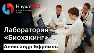 Лаборатория «Биохакинг» парка «Сириус» и работа со школьниками – биолог Александр Ефремов | Научпоп