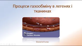 Біологія людини. Процеси газообміну в легенях і тканинах