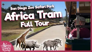 [2022] Africa Tram FULL TOUR | San Diego Zoo Safari Park