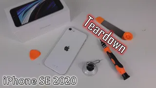 Apple iPhone SE 2020 Teardown: Same As An iPhone 8???