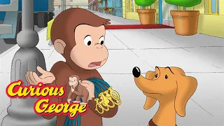 A Special Mission  🐵 Curious George 🐵 Kids Cartoon 🐵 Kids Movies