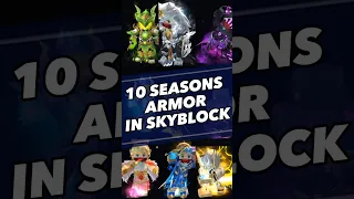 10 Seasons Armor #skyblock #blockmango