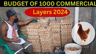 How to Start a 1000 Layer farm| Budget |Chicken farming| Layers Farming