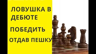 Шахматы. ЛОВУШКА В ДЕБЮТЕ. ОТДАЁМ ПРИМАНКУ ПЕШКУ! Онлайн. Играющие. Бесплатные. С компьютером.Играть