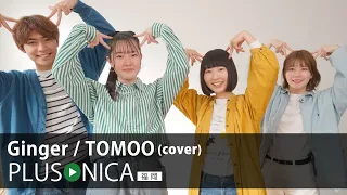 Ginger / TOMOO (cover)