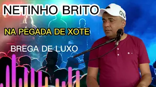 NA PEGADA DO XOTE BREGA DE LUXO NETINHO BRITO Canal Familia Brito