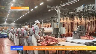Чумную колбасу из Мордовии сожгли в Татарстане