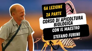 18 - CORSO DI APICOLTURA BIOLOGICA - Asphodel Honey - con il maestro Stefano Furini Lezione 6 Parte2