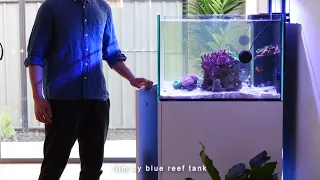 The Upgrade on Waterbox 105.4 | Blue Reef Tank