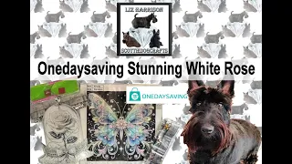 Diamond Painting | UNBOXING | #onedaysaving | White Rose | Pretty Butterfly | Yorkshire Day Ready