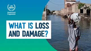 What is climate loss and damage? WFP explains the key word at this year’s COP27