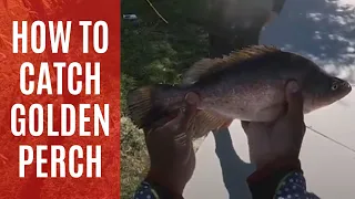 Golden Perch Fishing (1st @ LBG) @ Canberra, ACT