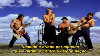 Red Hot Chili Peppers - Californication Legendado