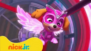 Patrulha Canina | Resgates Impulsionados por Foguetes com a Patrulha Canina | 15 Minutos | Nick Jr.