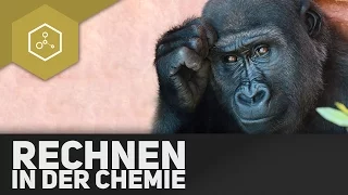 Rechnen in der Chemie - Stoffmenge, Konzentration