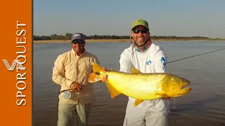 Fly Fishing For Golden Dorado at Rio Parana Lodge, Argentina 🇦🇷