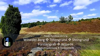 Die schönste Heidewanderung, Turmberg, Fürstengrab, Wilseder Berg, Wilsede, Totengrund, Steingrund