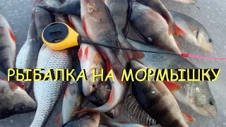 РЫБАЛКА НА МОРМЫШКУ.ЗИМНЯЯ РЫБАЛКА.ловля окуня