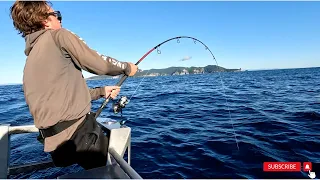 GIANT TUNA Hooked on Topwater Gear Whilst Fishing for Kingfish