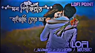 মন পিঞ্জিরায় বাইন্ধাছি তোর মন -Mon pinjirai baindachi tor mon LOFI (SLOWED   REVERB) MUSIC