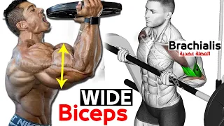 8 BEST Exercises for WIDER BICEPS