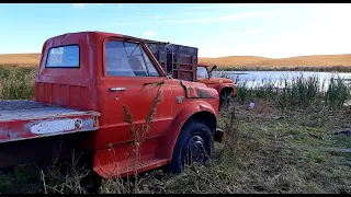 Will This Retired 1969 Chevrolet C50 Truck RUN AND DRIVE?