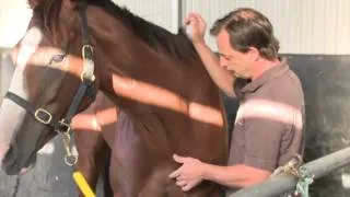 HOW TO CHECK A SORE NECK ON A RACE HORSE WITH CHRISTIAN LANGEDER