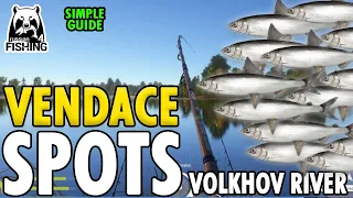 Russian Fishing 4 VENDACE Spots Volkhov River