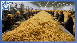 How Millions Of Tons Of French Fries Are Made From Harvesting Delicious Potatoes