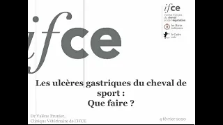 Ulcères gastriques du cheval de sport que faire - Dr Valène Prunier