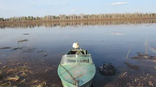 Мотор Вихрь//Лодка Казанка//Водномоторные будни 2 часть.