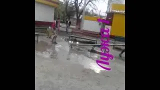 Смешные видео