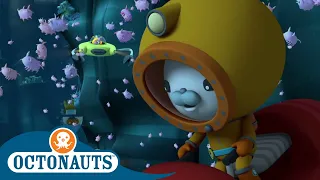 Octonauts - It's Raining Sea Pigs! | Cartoons for Kids | Underwater Sea Education