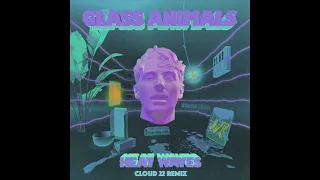 Glass Animals - Heat Waves (Cloud 22 Remix)